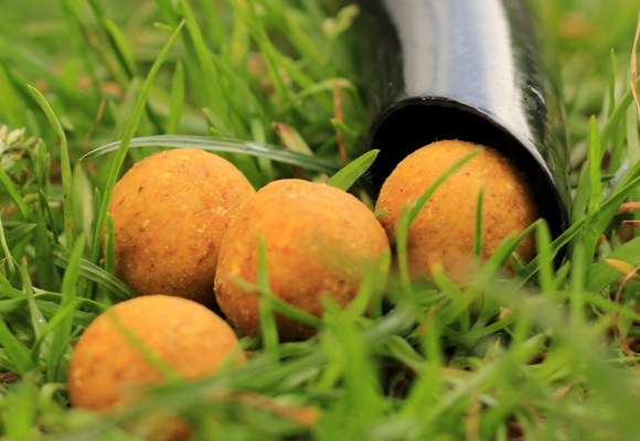 banner mastercarp catchcarp - MasterCARP Bulgaria